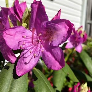 Meet your Posher, Catherine